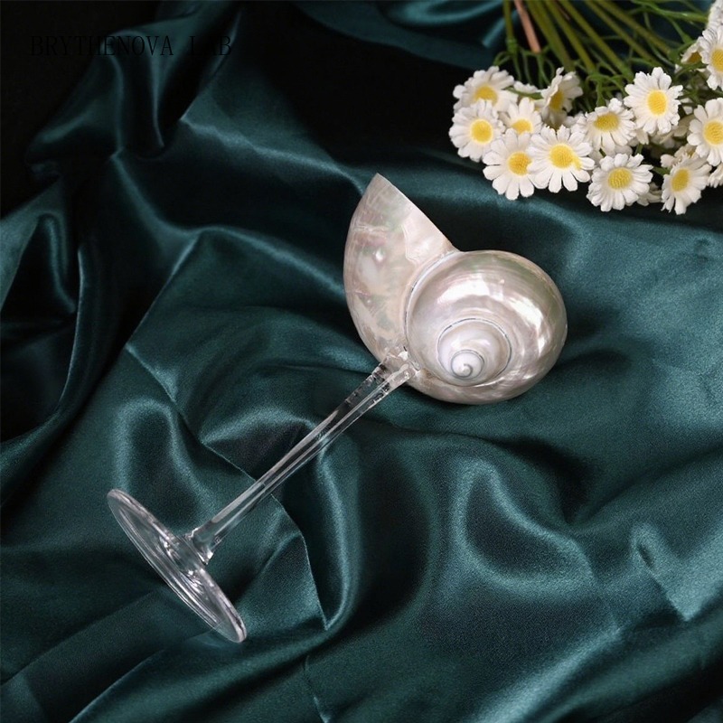 Lighting Glass Photography - Light Luxury Conch Shell Champagne Flute