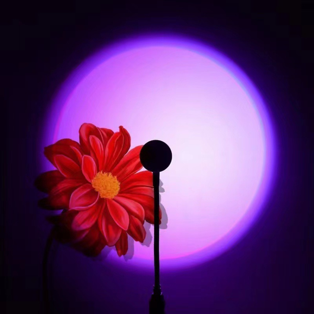 LED RGB Sunset Projection Lamp - Photography Lighting Mood recension och pris